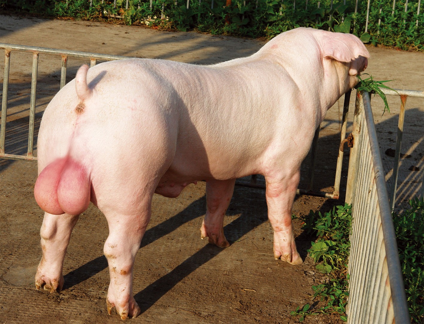 1631591257762239.jpg 1631591257762239.jpg