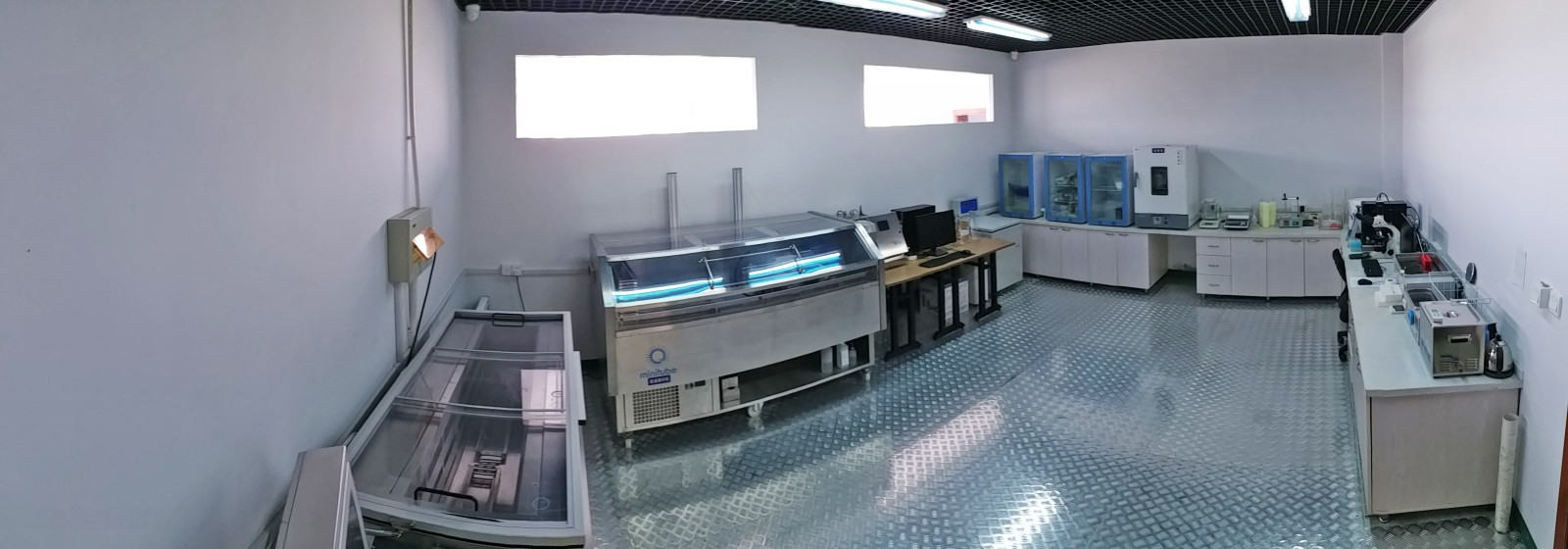 1631611194616732.jpg 1631611194616732.jpg