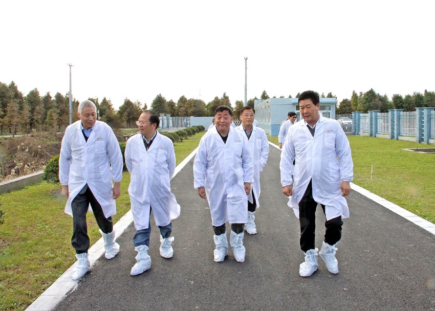 1631611401418499.jpg 1631611401418499.jpg