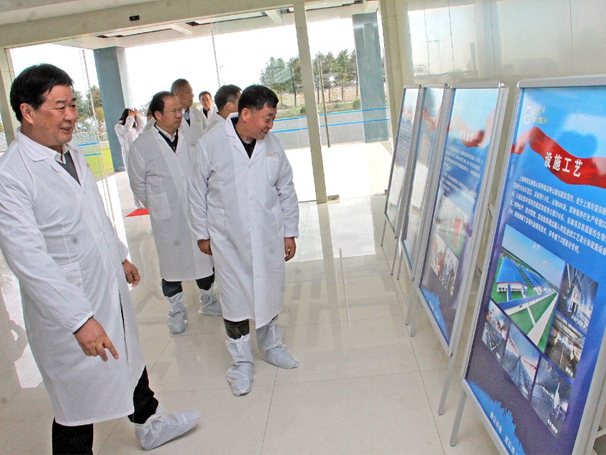 1631611401754206.jpg 1631611401754206.jpg