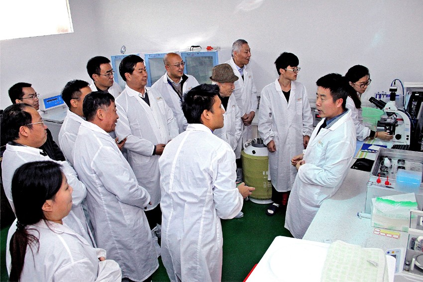 1631611402559481.jpg 1631611402559481.jpg