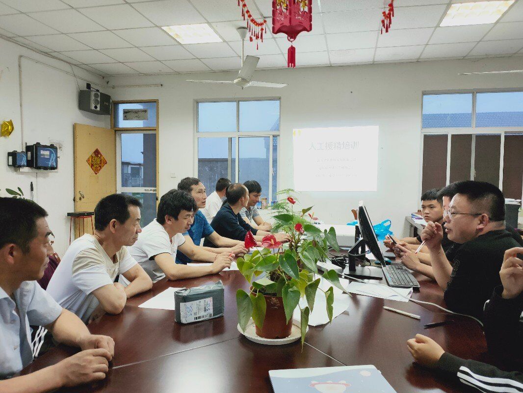 1631611530864839.jpg 1631611530864839.jpg