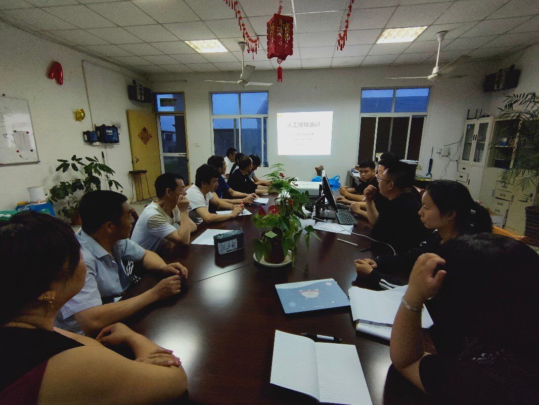 1631611530943727.jpg 1631611530943727.jpg