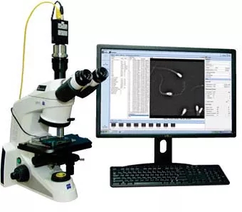 1632271158130790.jpg 640.webp (1).jpg