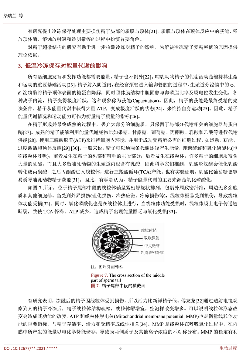 低溫冷凍保存對豬精子的影響-6.jpg