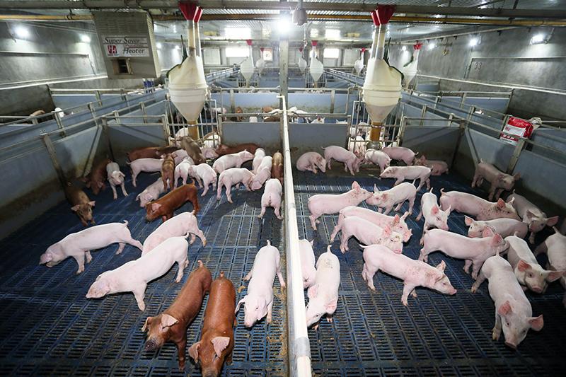 1632962917555779.jpg 保育舍.jpg