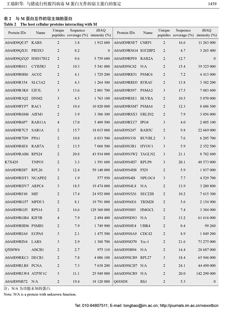 13-與豬流行性腹瀉病毒 M 蛋白互作的宿主蛋白的鑒定-6.jpg
