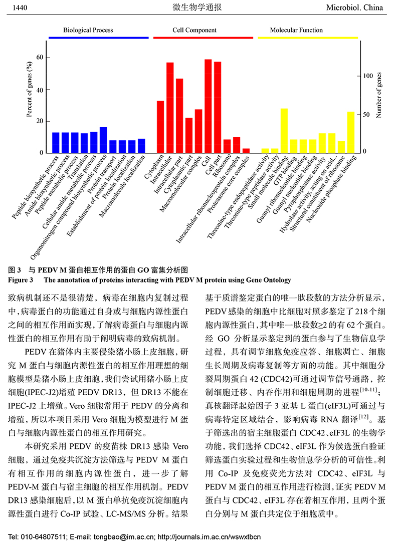13-與豬流行性腹瀉病毒 M 蛋白互作的宿主蛋白的鑒定-7.jpg