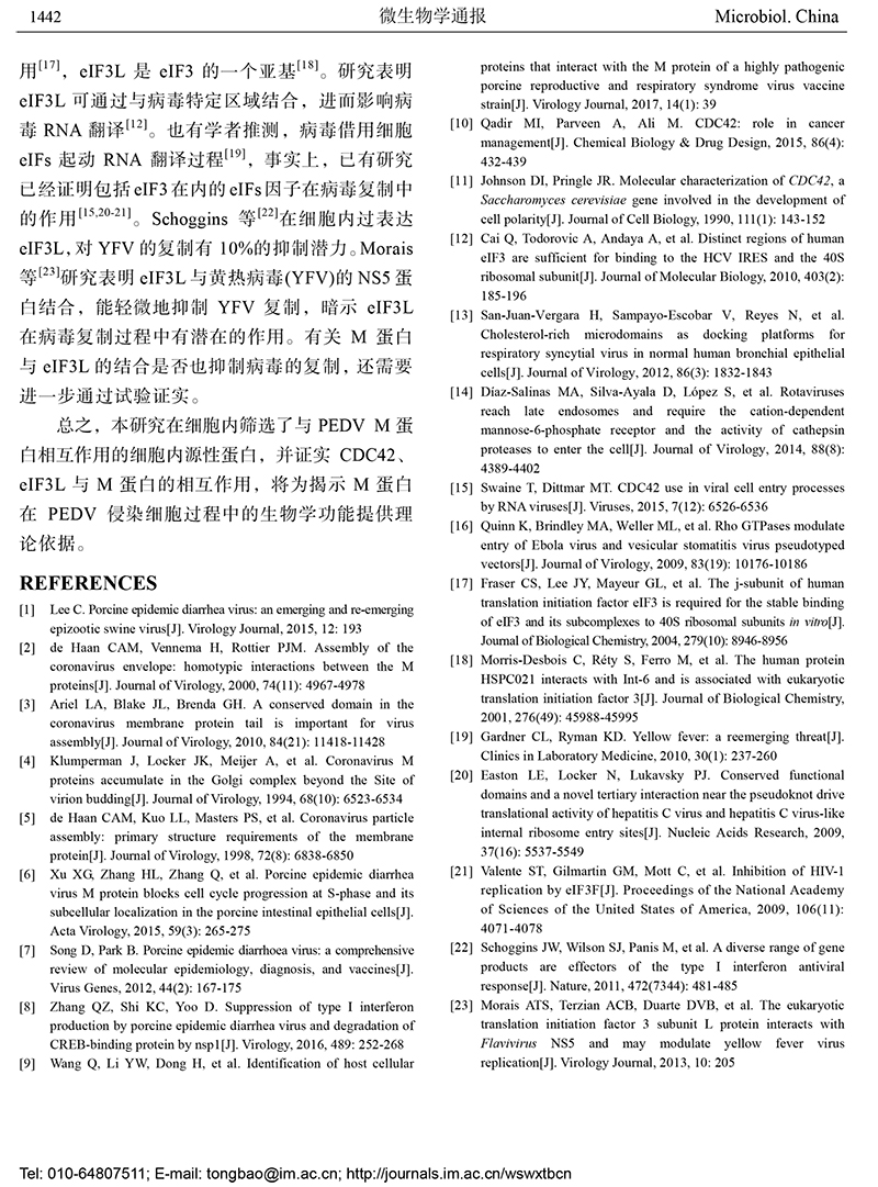 13-與豬流行性腹瀉病毒 M 蛋白互作的宿主蛋白的鑒定-9.jpg