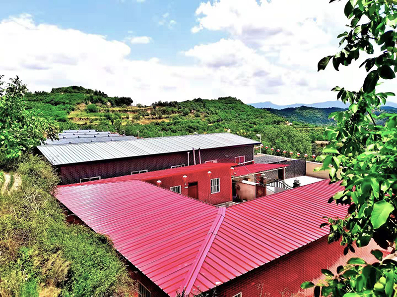 1635730428720557.jpg 1635730428720557.jpg