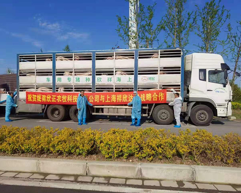 1635730485430638.jpg 1635730485430638.jpg