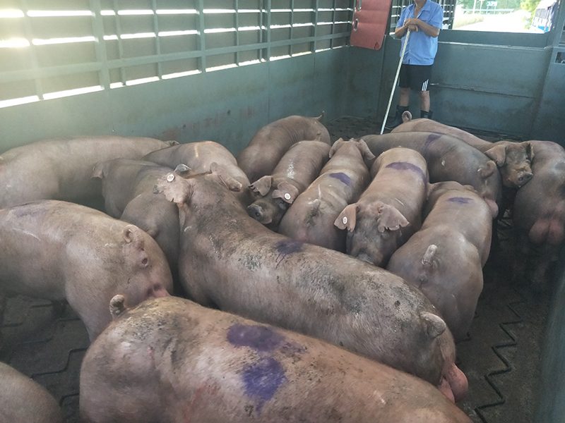 1635730494391743.jpg 1635730494391743.jpg