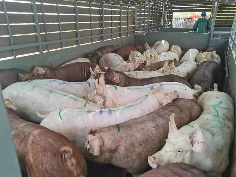 1635730501816063.jpg 1635730501816063.jpg