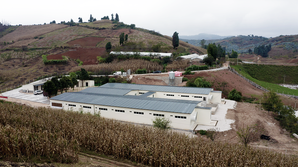 1637637194847379.png 照片02.png