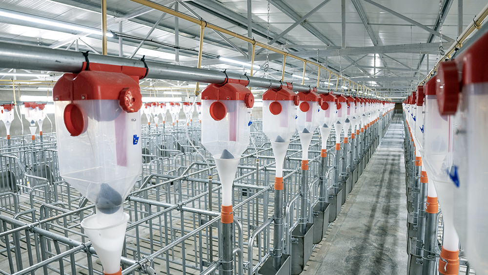 1637637337802681.jpg DSC01476.JPG