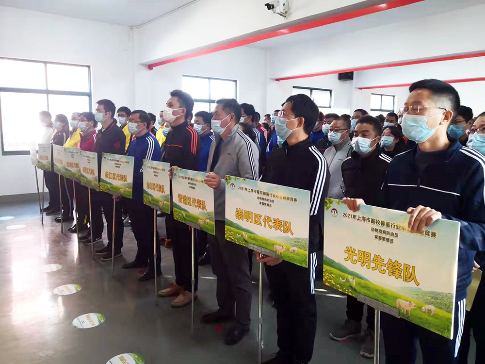 1639126419957487.jpg 1639126419957487.jpg