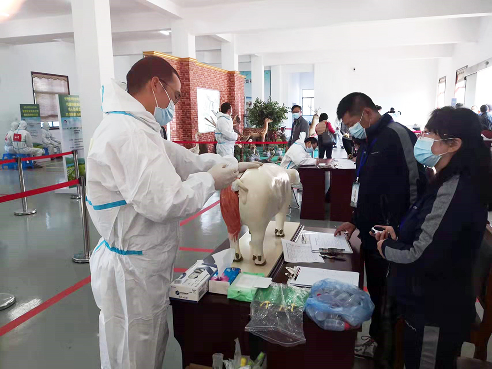 1639126592581814.jpg 1639126592581814.jpg