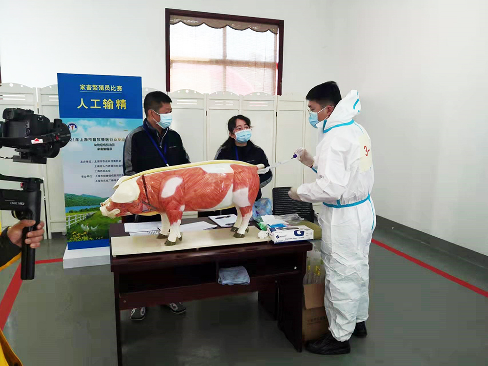 1639126602864802.jpg 1639126602864802.jpg