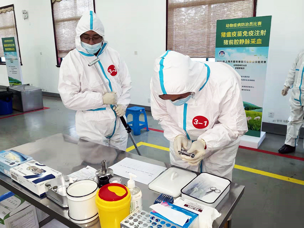 1639126611719524.jpg 1639126611719524.jpg