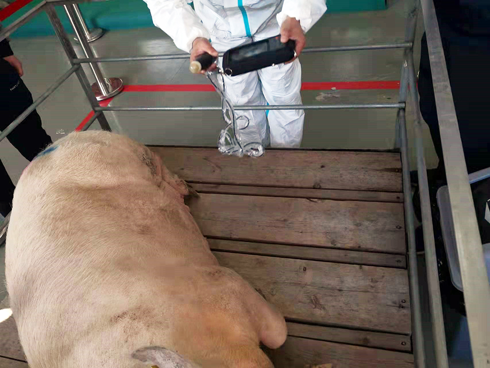 1639126617888665.jpg 1639126617888665.jpg