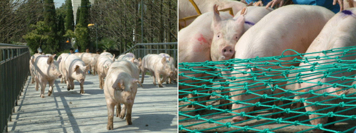 1639192388461271.png 1639192388461271.png