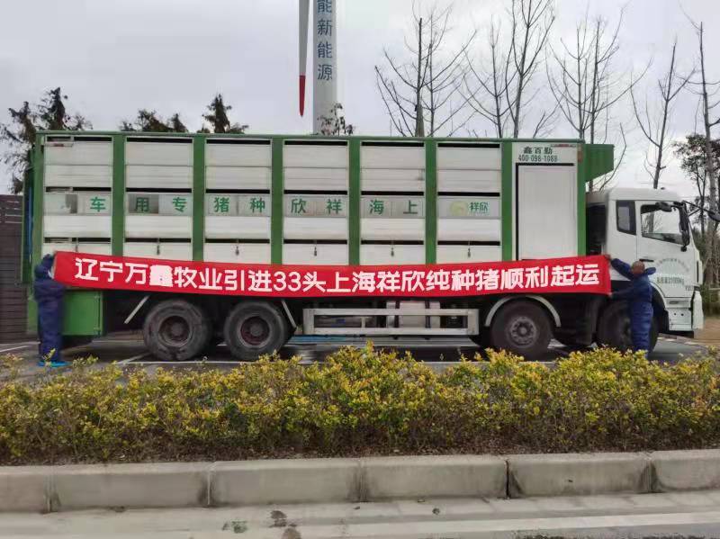 1639982993719741.jpg 1639982993719741.jpg