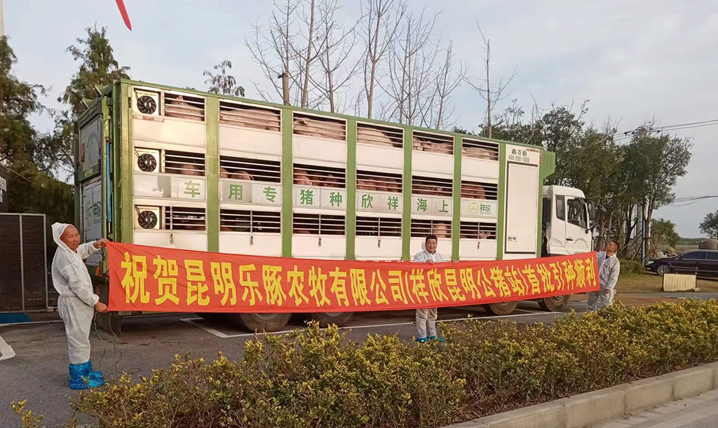 1639983005756333.jpg 1639983005756333.jpg