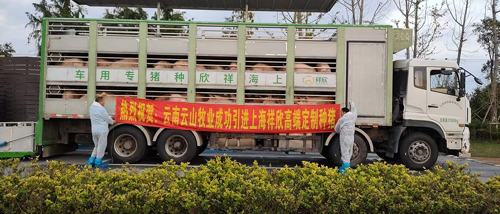 1639983019410720.jpg 1639983019410720.jpg