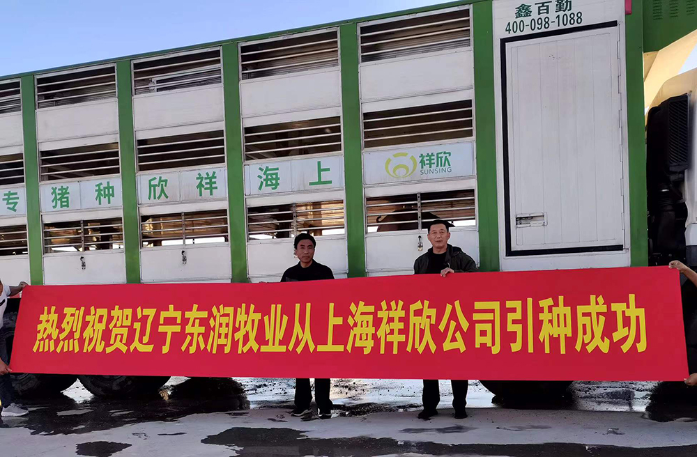 1639983035266423.jpg 1639983035266423.jpg