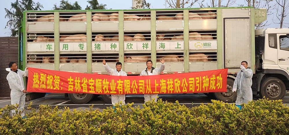 1639983040847674.jpg 1639983040847674.jpg