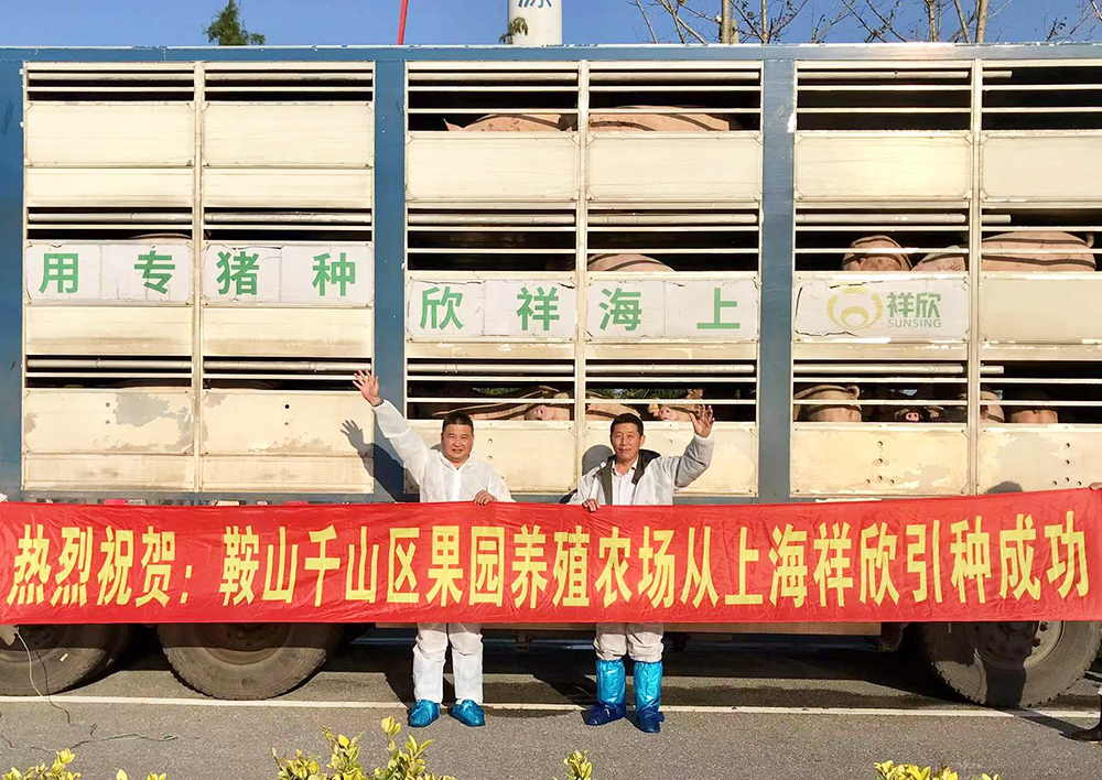 1639983051695350.jpg 1639983051695350.jpg