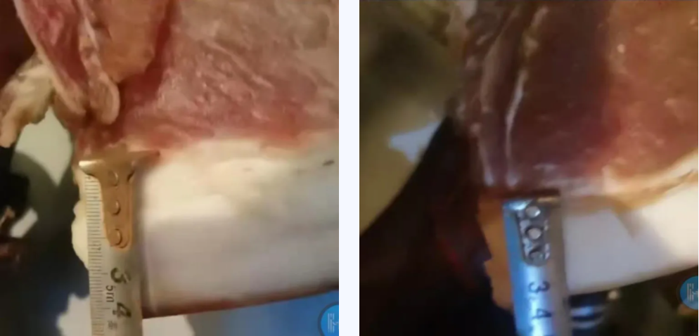 1639983605827880.png 1639983605827880.png