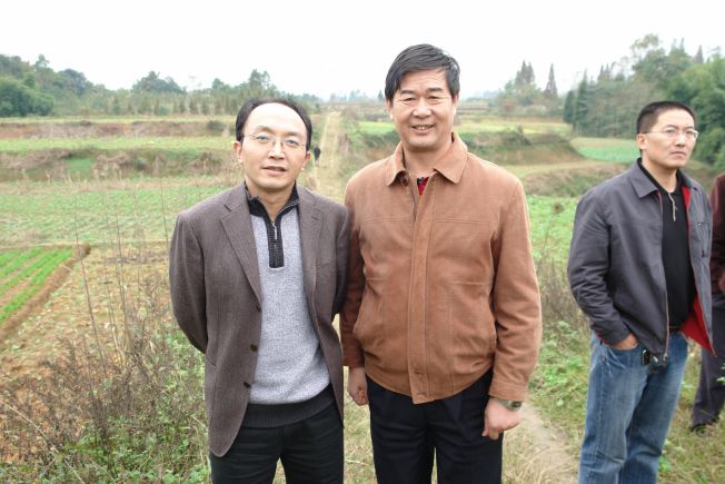 1640247883277152.jpg b2.jpg