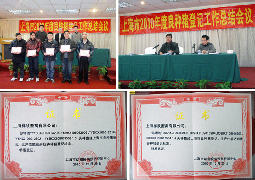 1641374993241428.png 2022-01-05_172642.png