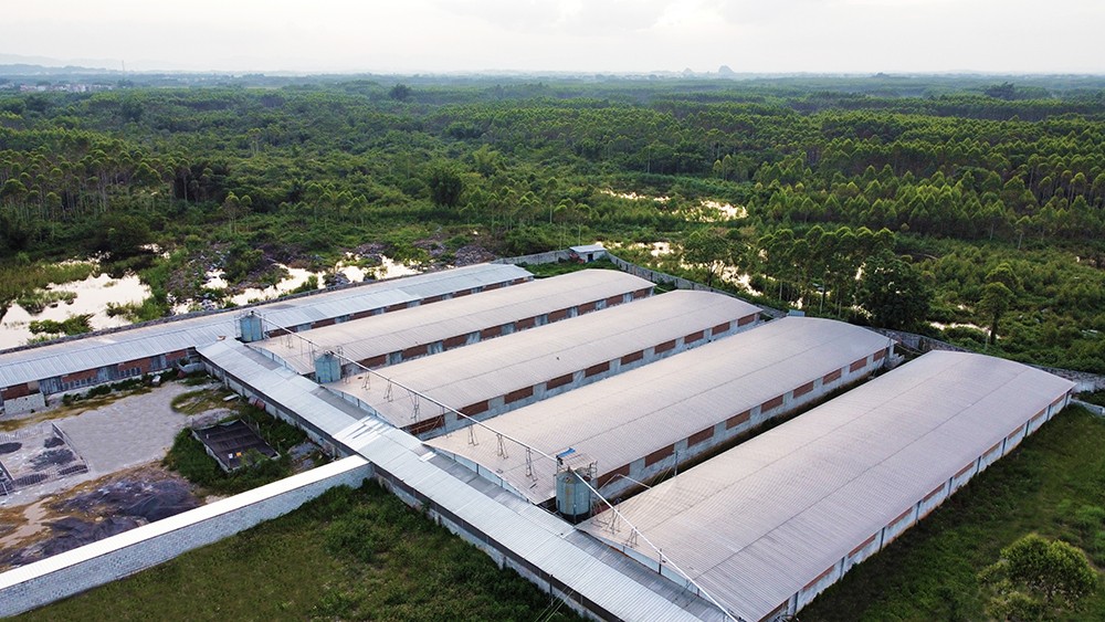 1725008732807646.jpg 一千1.jpg