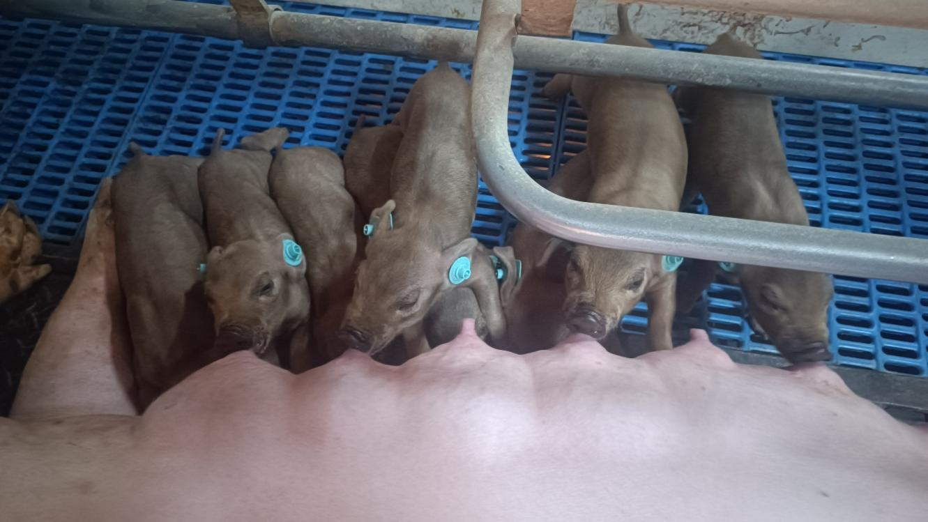 1734072044953900.png 1734072044953900.png